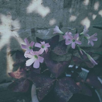 万博体育app下载官网